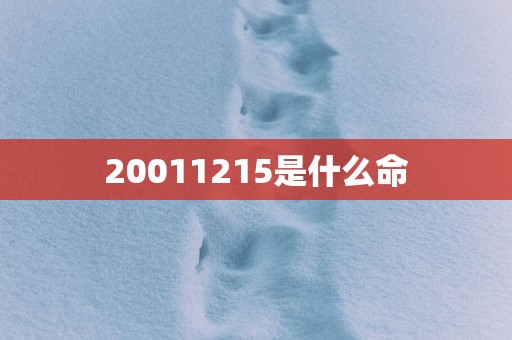 20011215是什么命