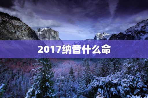 2017纳音什么命