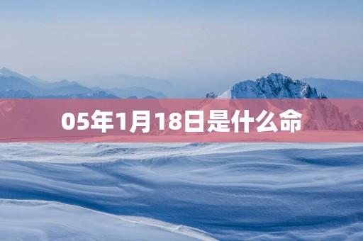 05年1月18日是什么命