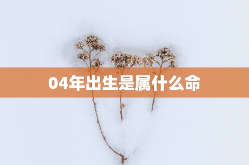 04年出生是属什么命