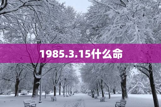 1985.3.15什么命