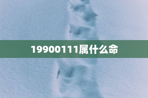19900111属什么命