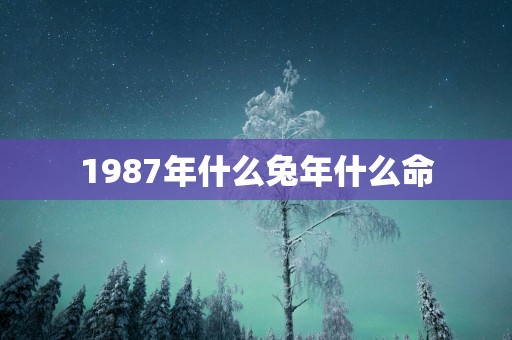 1987年什么蛇年什么命