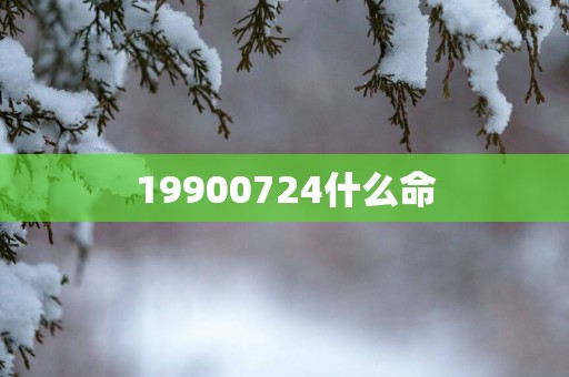 19900724什么命