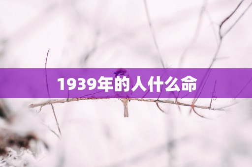 1939年的人什么命