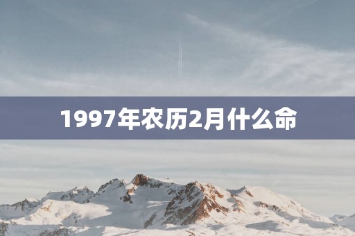 1997年农历2月什么命