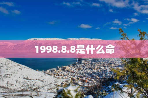 1998.8.8是什么命