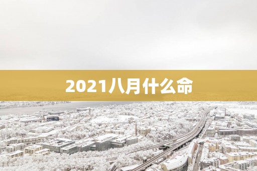 2025八月什么命