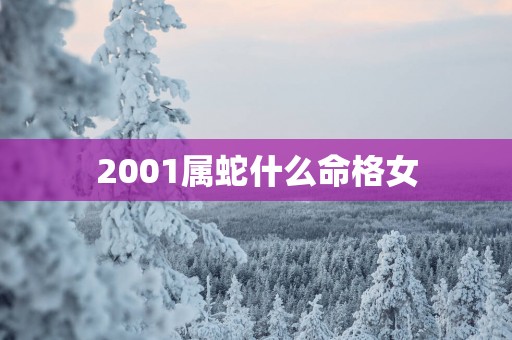2001属蛇什么命格女