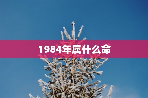 1984年属什么命