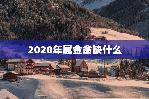 2025年属金命缺什么