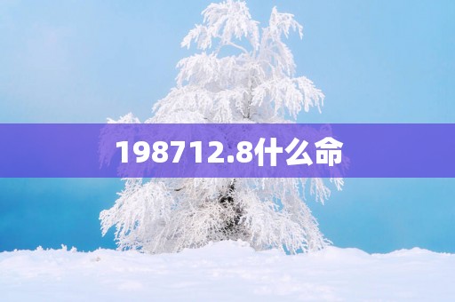 198712.8什么命