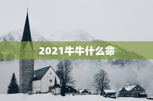 2025牛牛什么命