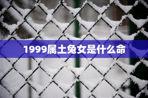1999属土兔女是什么命