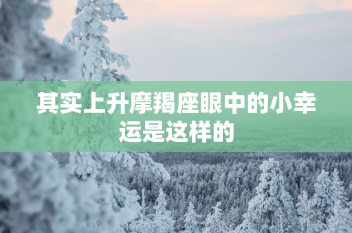 其实上升摩羯座眼中的小幸运是这样的