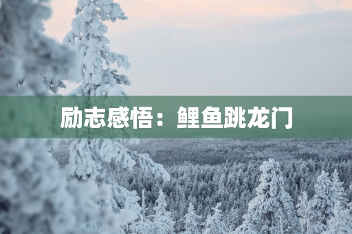 励志感悟：鲤鱼跳龙门