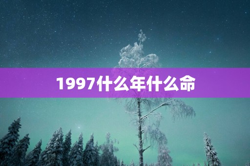 1997什么年什么命