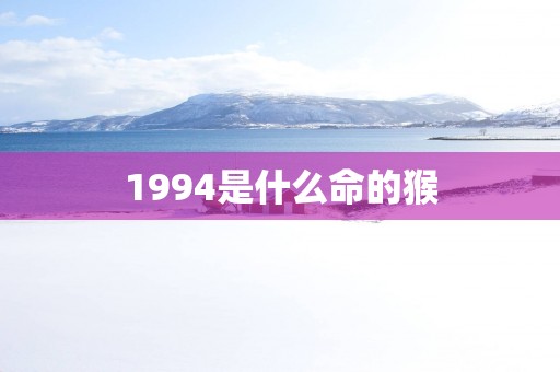 1994是什么命的猴