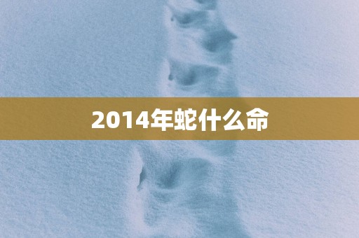 2014年蛇什么命