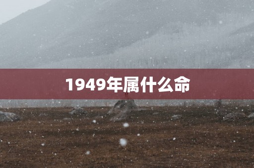 1949年属什么命