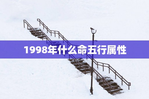 1998年什么命五行属性
