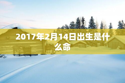 2017年2月14日出生是什么命