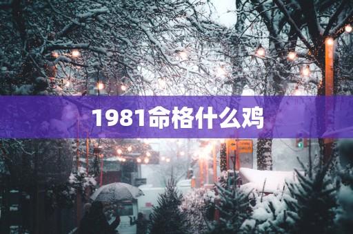 1981命格什么鸡