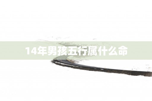 14年男孩五行属什么命