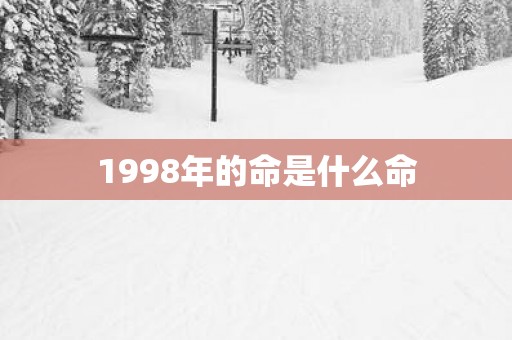 1998年的命是什么命