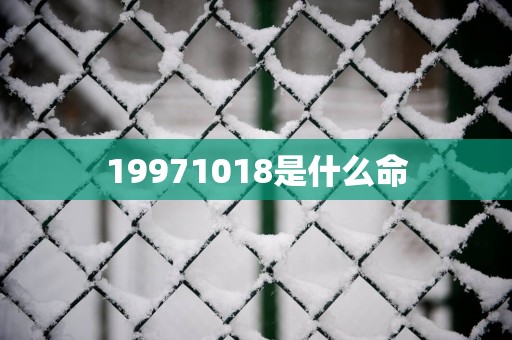 19971018是什么命