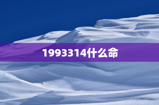 1993314什么命