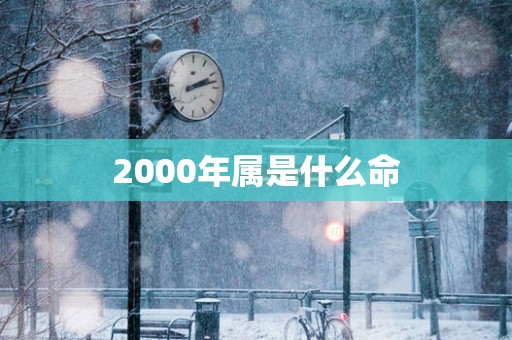 2000年属是什么命