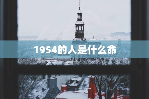 1954的人是什么命