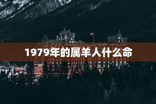 1979年的属羊人什么命