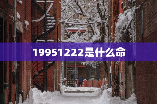 19951222是什么命