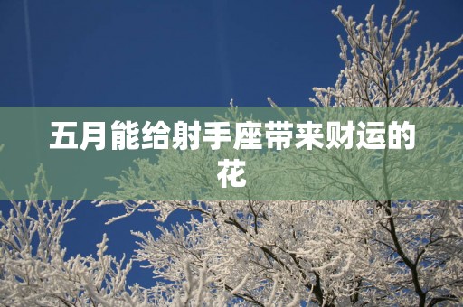 五月能给射手座带来财运的花