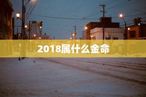 2018属什么金命