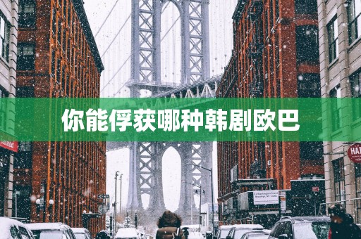 你能俘获哪种韩剧欧巴