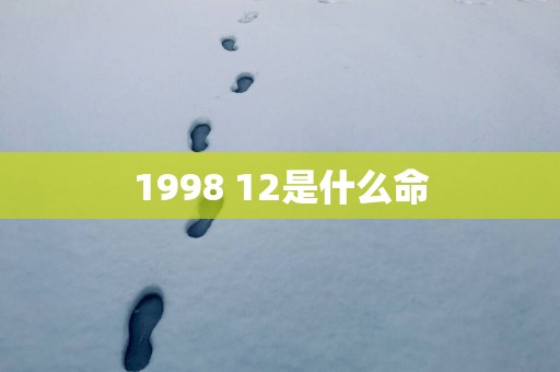1998 12是什么命