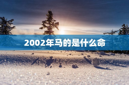 2002年马的是什么命