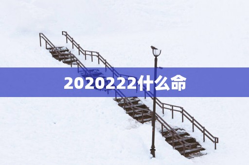 2025252什么命