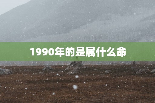 1990年的是属什么命