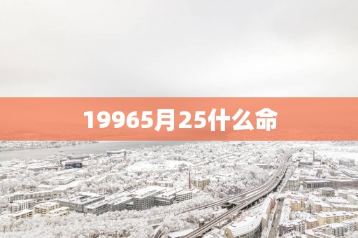 19965月25什么命