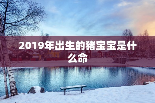 2019年出生的猪宝宝是什么命