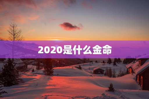 2025是什么金命