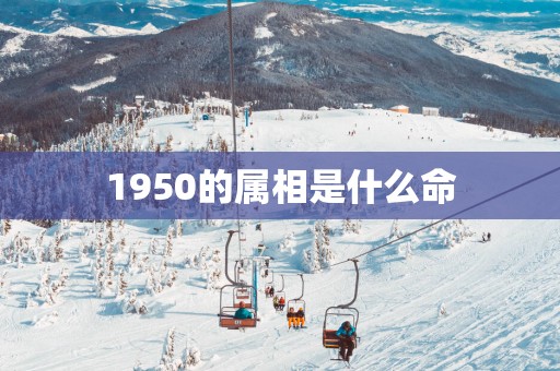1950的属相是什么命