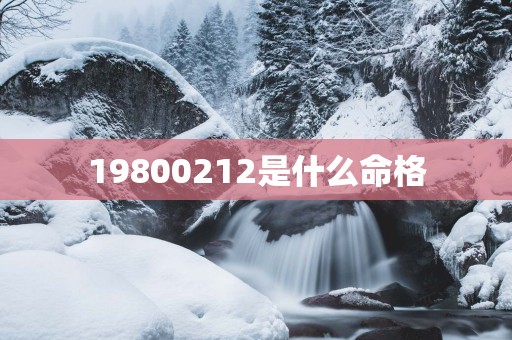 19800212是什么命格