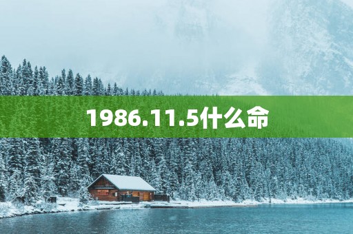 1986.11.5什么命