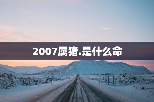 2007属猪.是什么命
