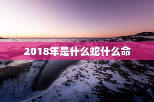 2018年是什么蛇什么命